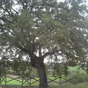 https://agriturismo-il-mercante.it-tuscanyhotel.com